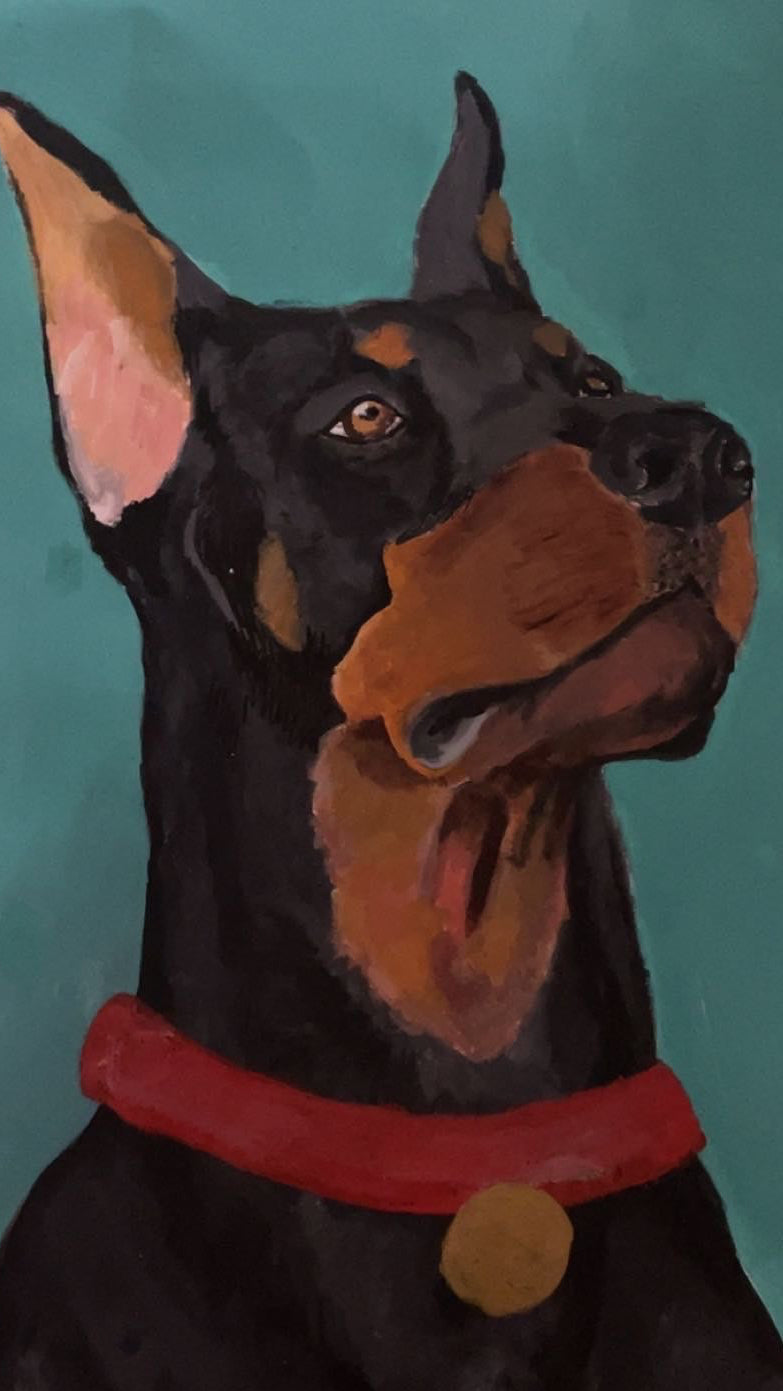 Doberman portrait