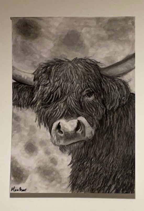 Highland cow portrait(original)