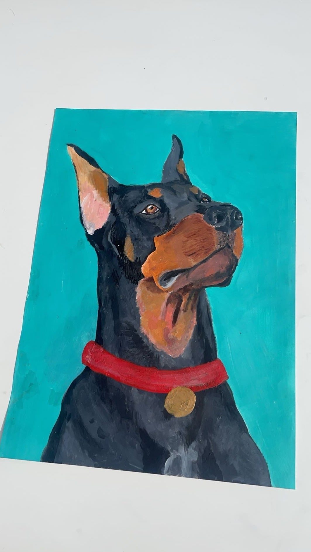 Doberman portrait